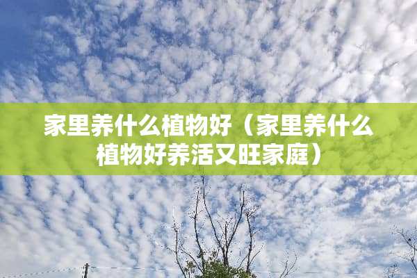 家里养什么植物好（家里养什么植物好养活又旺家庭）