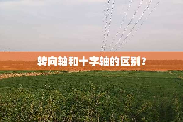 转向轴和十字轴的区别？