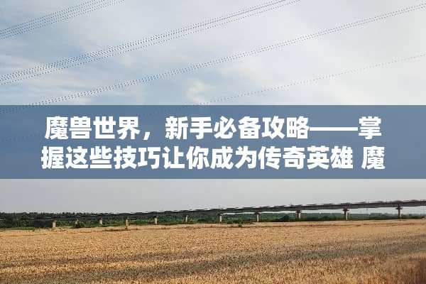 魔兽世界，新手必备攻略——掌握这些技巧让你成为传奇英雄 魔兽游戏攻略