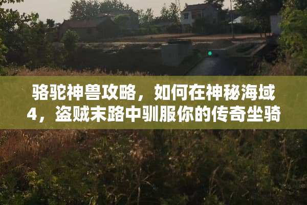 骆驼神兽攻略，如何在神秘海域4，盗贼末路中驯服你的传奇坐骑？ 骆驼神兽攻略