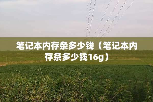 笔记本内存条多少钱（笔记本内存条多少钱16g）