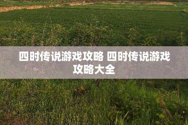 四时传说游戏攻略 四时传说游戏攻略大全