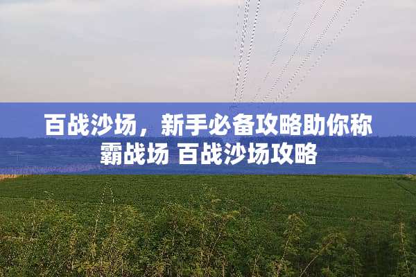 百战沙场，新手必备攻略助你称霸战场 百战沙场攻略