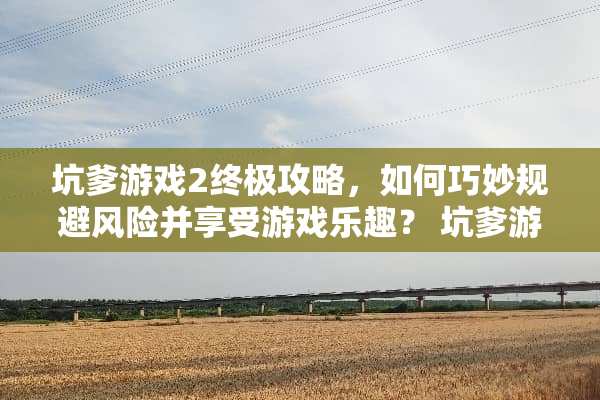 坑爹游戏2终极攻略，如何巧妙规避风险并享受游戏乐趣？ 坑爹游戏2攻略14