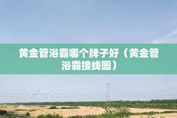 黄金管浴霸哪个牌子好（黄金管浴霸接线图）