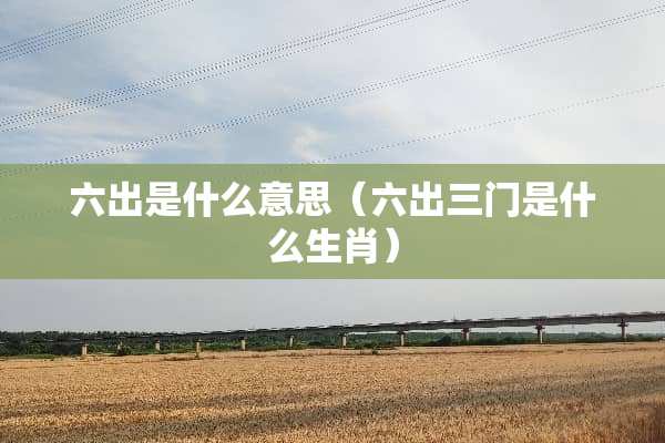 六出是什么意思（六出三门是什么生肖）
