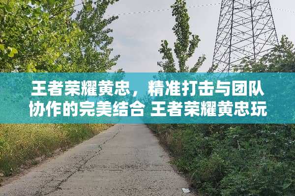 王者荣耀黄忠，精准打击与团队协作的完美结合 王者荣耀黄忠玩法技巧