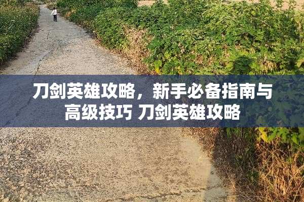 刀剑英雄攻略，新手必备指南与高级技巧 刀剑英雄攻略