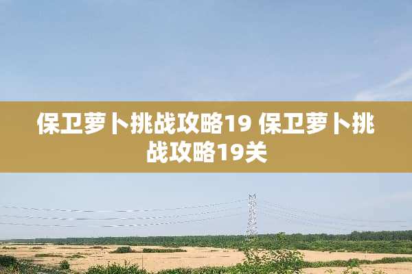 保卫萝卜挑战攻略19 保卫萝卜挑战攻略19关