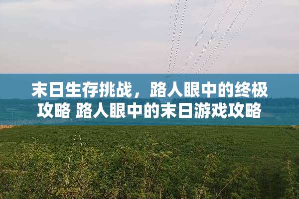 末日生存挑战，**眼中的终极攻略**眼中的末日游戏攻略