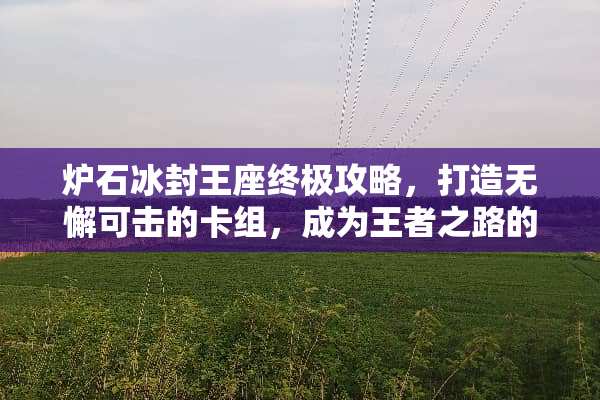 炉石冰封王座终极攻略，打造无懈可击的卡组，成为王者之路的领航者 炉石冰封王座攻略