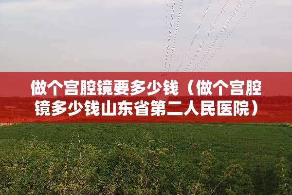 做个宫腔镜要多少钱（做个宫腔镜多少钱山东省第二人民医院）