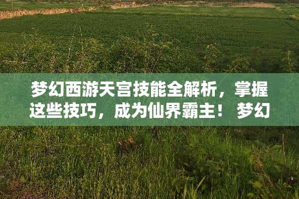 梦幻西游天宫技能全解析，掌握这些技巧，成为仙界霸主！ 梦幻西游天宫技能介绍