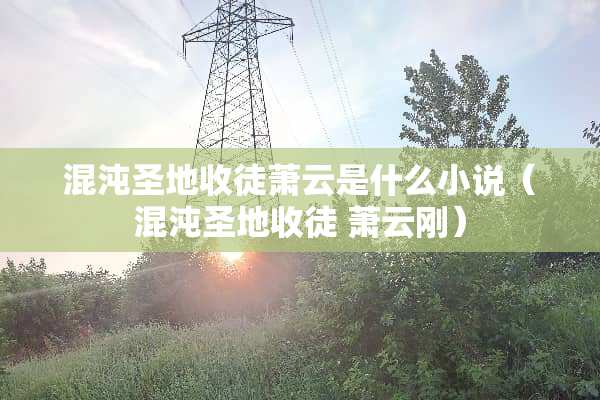 混沌圣地收徒萧云是什么小说（混沌圣地收徒 萧云刚）