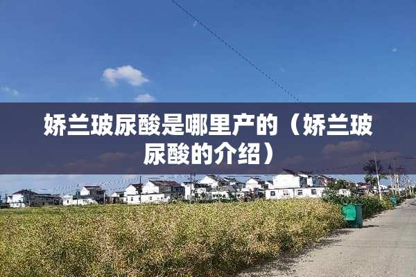 娇兰玻尿酸是哪里产的（娇兰玻尿酸的介绍）