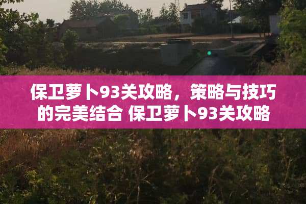 保卫萝卜93关攻略，策略与技巧的完美结合 保卫萝卜93关攻略