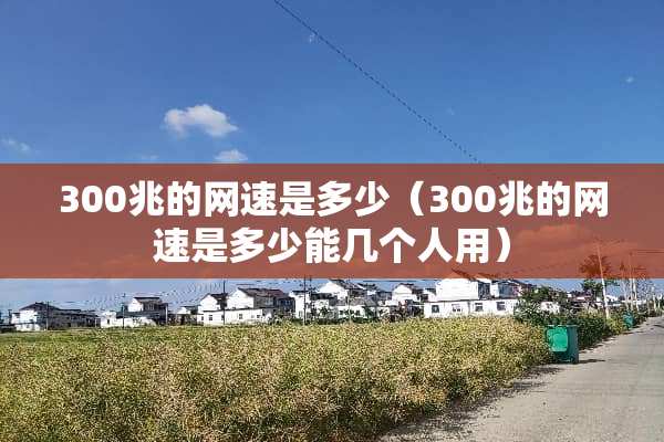 300兆的网速是多少（300兆的网速是多少能几个人用）