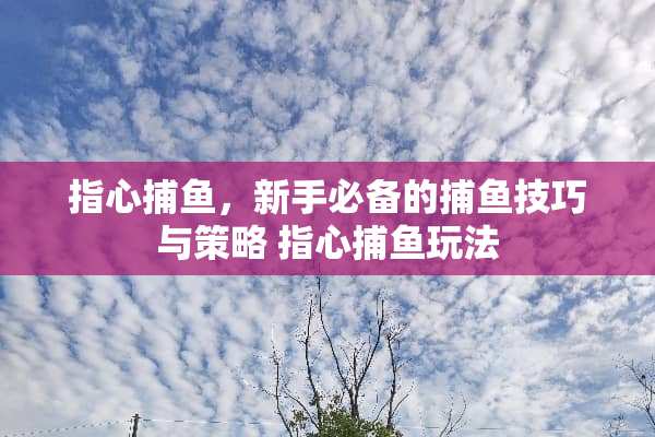 指心捕鱼，新手必备的捕鱼技巧与策略 指心捕鱼玩法