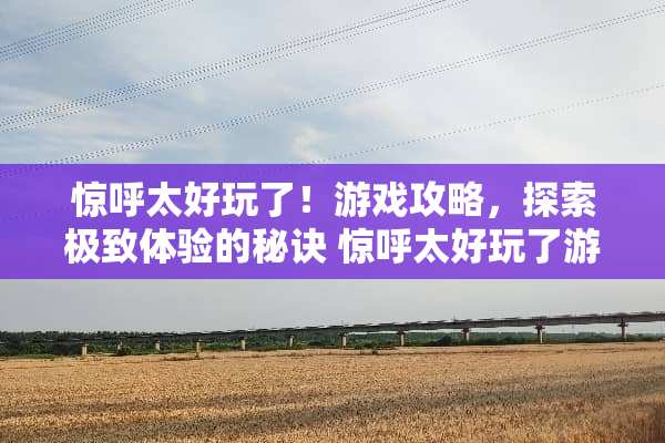 惊呼太好玩了！游戏攻略，探索极致体验的秘诀 惊呼太好玩了游戏攻略