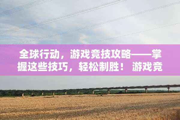 全球行动，游戏竞技攻略——掌握这些技巧，轻松制胜！ 游戏竞技全球行动攻略