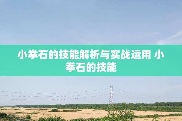 小拳石的技能解析与实战运用 小拳石的技能