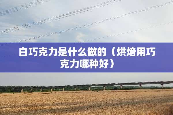 白巧克力是什么做的（烘焙用巧克力哪种好）