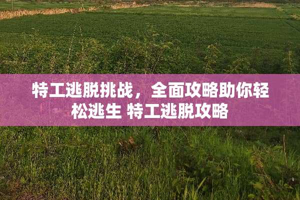 特工逃脱挑战，全面攻略助你轻松逃生 特工逃脱攻略