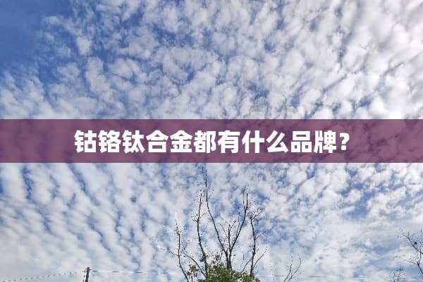 钴铬钛合金都有什么品牌？