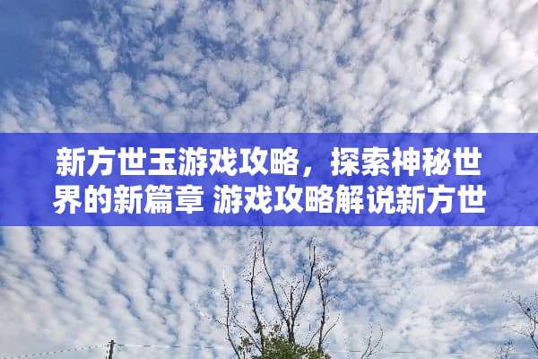新方世玉游戏攻略，探索神秘世界的新篇章 游戏攻略解说新方世玉