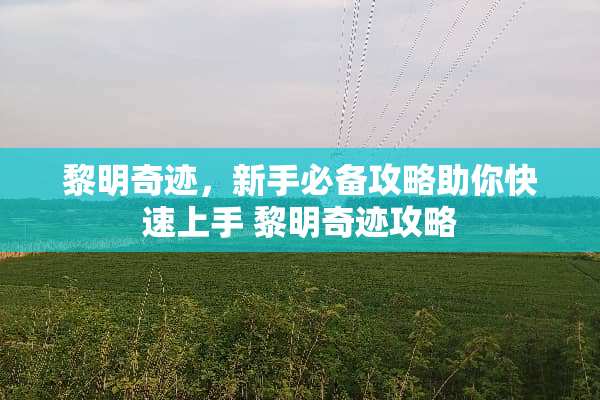 黎明奇迹，新手必备攻略助你快速上手 黎明奇迹攻略