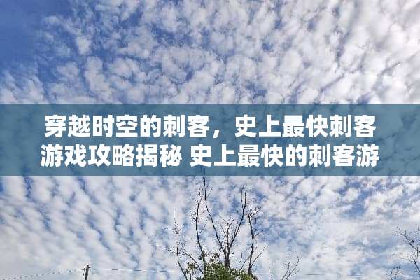 穿越时空的刺客，史上最快刺客游戏攻略揭秘 史上最快的刺客游戏攻略