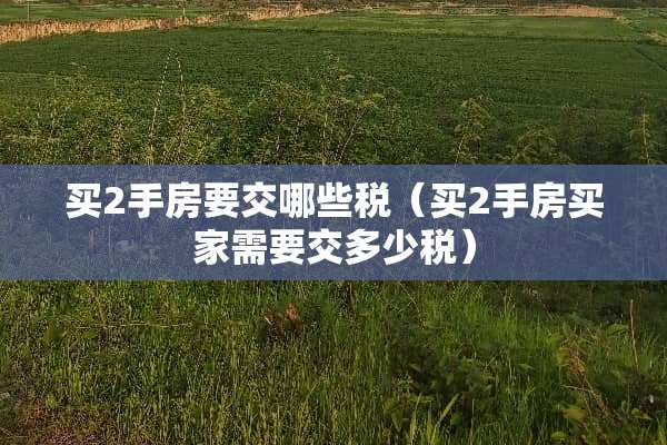 买2手房要交哪些税（买2手房买家需要交多少税）