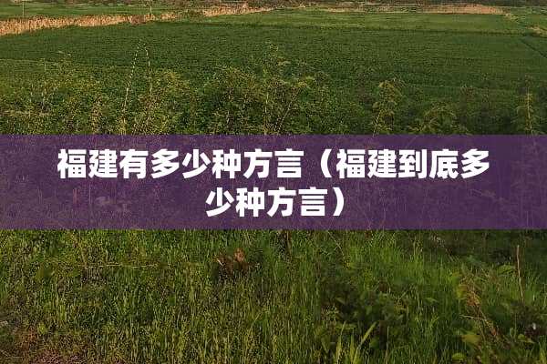 福建有多少种方言（福建到底多少种方言）