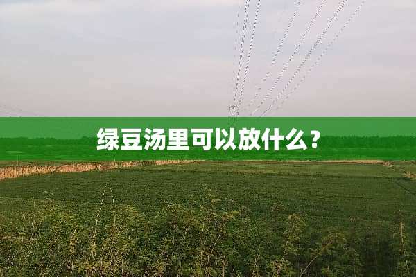 绿豆汤里可以放什么？