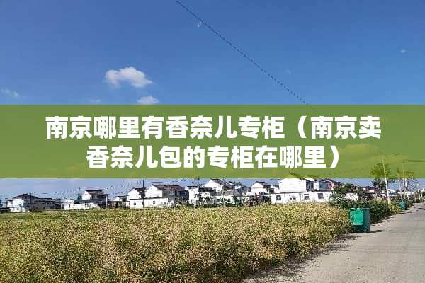 南京哪里有香奈儿专柜（南京卖香奈儿包的专柜在哪里）