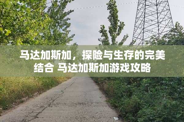 马达加斯加，探险与生存的完美结合 马达加斯加游戏攻略