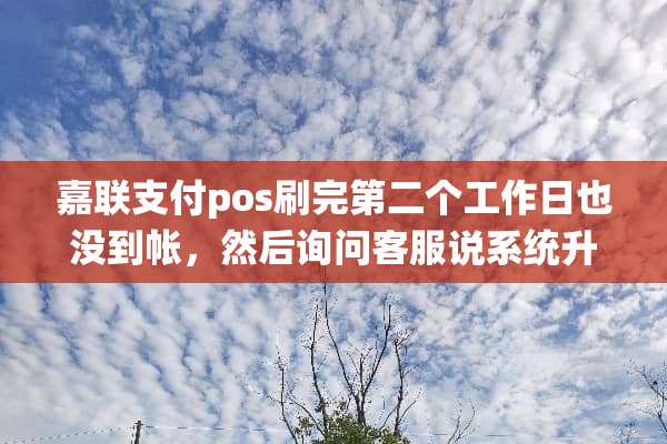 嘉联支付pos刷完第二个工作日也没到帐，然后询问客服说系统升级冻结了怎么办？