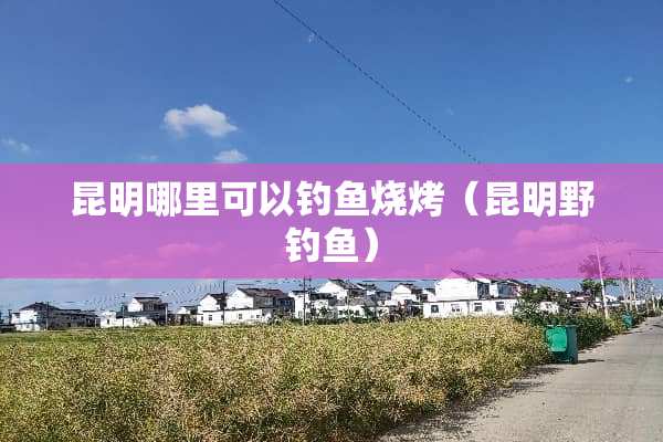 昆明哪里可以钓鱼烧烤（昆明野钓鱼）