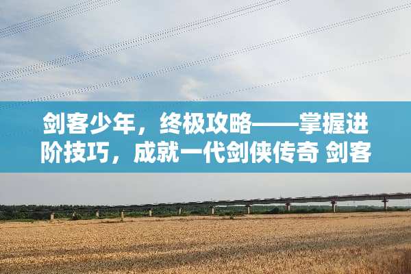 剑客少年，终极攻略——掌握进阶技巧，成就一代剑侠传奇 剑客少年攻略