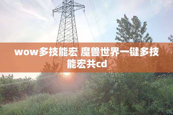 wow多技能宏 魔兽世界一键多技能宏共cd