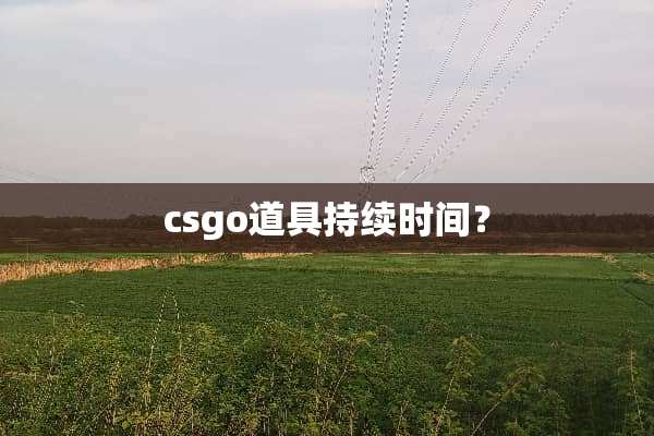 csgo道具持续时间？