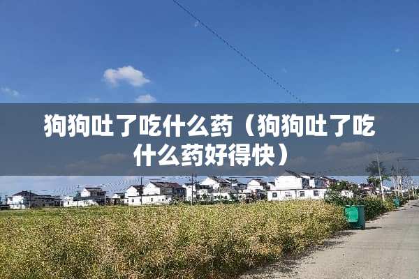 狗狗吐了吃什么药(狗狗吐了吃什么药好得快) 狗狗吐了吃什么药(狗狗吐了吃什么药好得快)