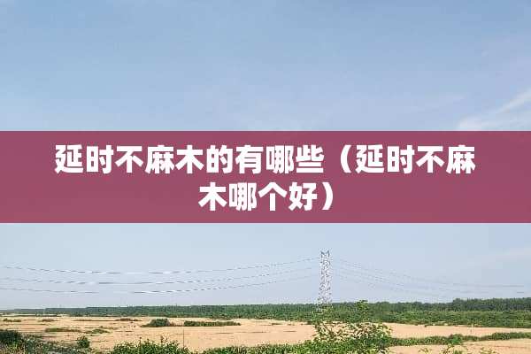 延时不麻木的有哪些（延时不麻木哪个好）