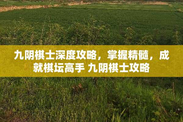 九*棋士深度攻略，掌握精髓，成就棋坛高手 九*棋士攻略