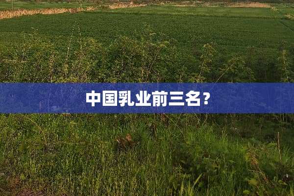 中国*业前三名？