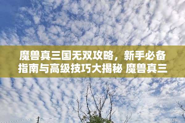 魔兽真三国无双攻略，新手必备指南与高级技巧大揭秘 魔兽真三国无双攻略