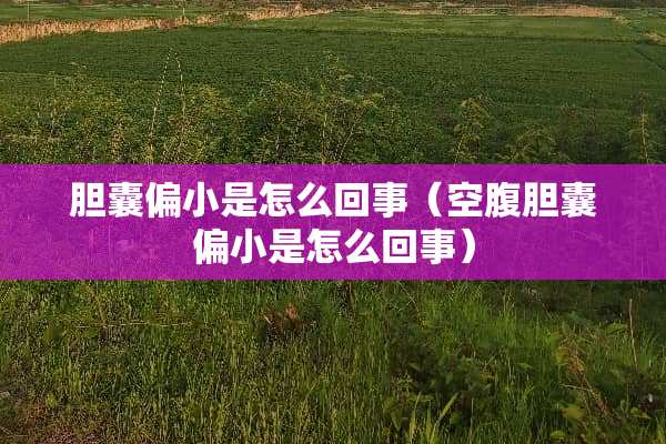 胆囊偏小是怎么回事（空腹胆囊偏小是怎么回事）