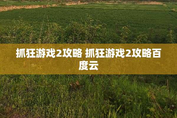 抓狂游戏2攻略 抓狂游戏2攻略百度云