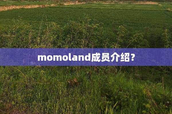momoland成员介绍？