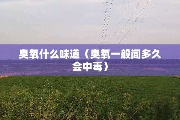 臭氧什么味道（臭氧一般闻多久会中毒）